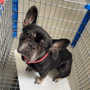 Meet your Posher, Robyn